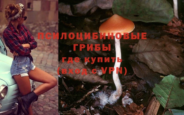 прущая мука Богородицк