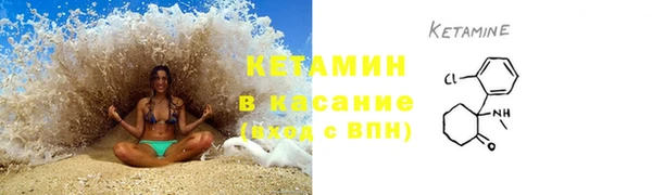 шишки Слюдянка