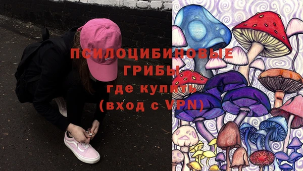 соль ск Белоозёрский