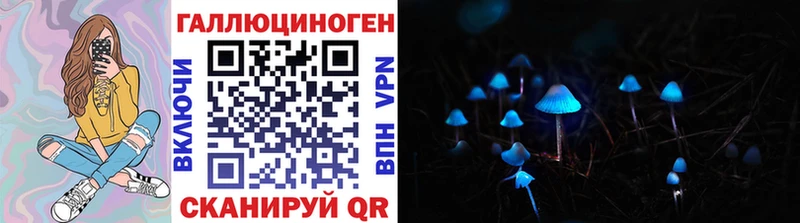 MEGA как войти Болгар Псилоцибиновые грибы мухоморы