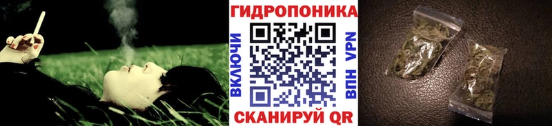 магазин    Болгар  Шишки марихуана THC 21% 